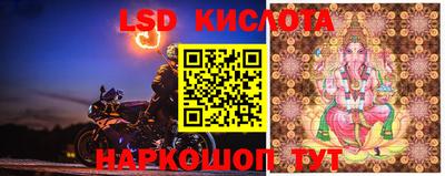 гашик Жуковский
