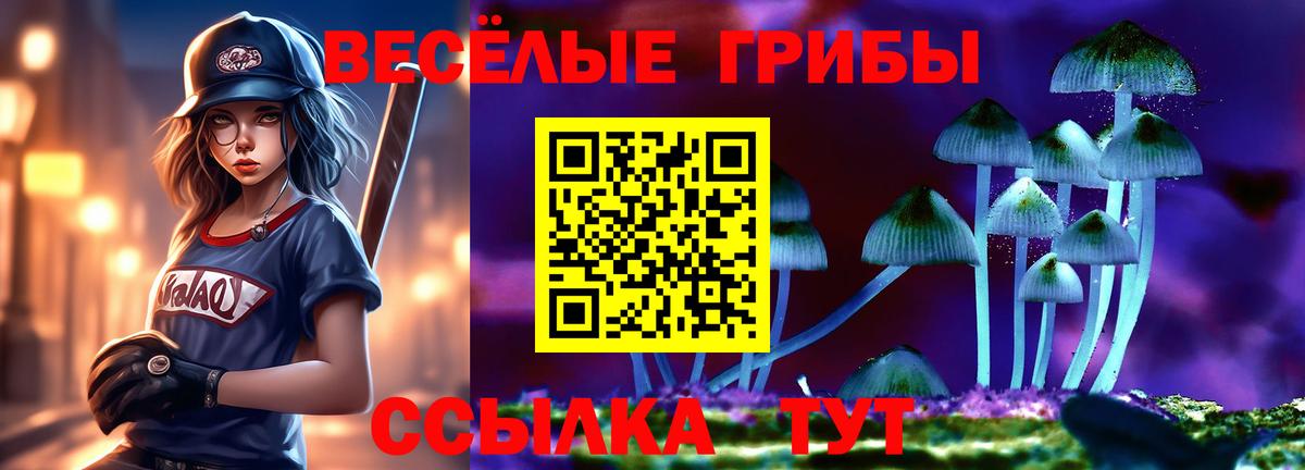 Люберцы  Псилоцибиновые грибы Psilocybe  наркотики  Псилоцибиновые грибы Psilocybe  Вход с VPN 